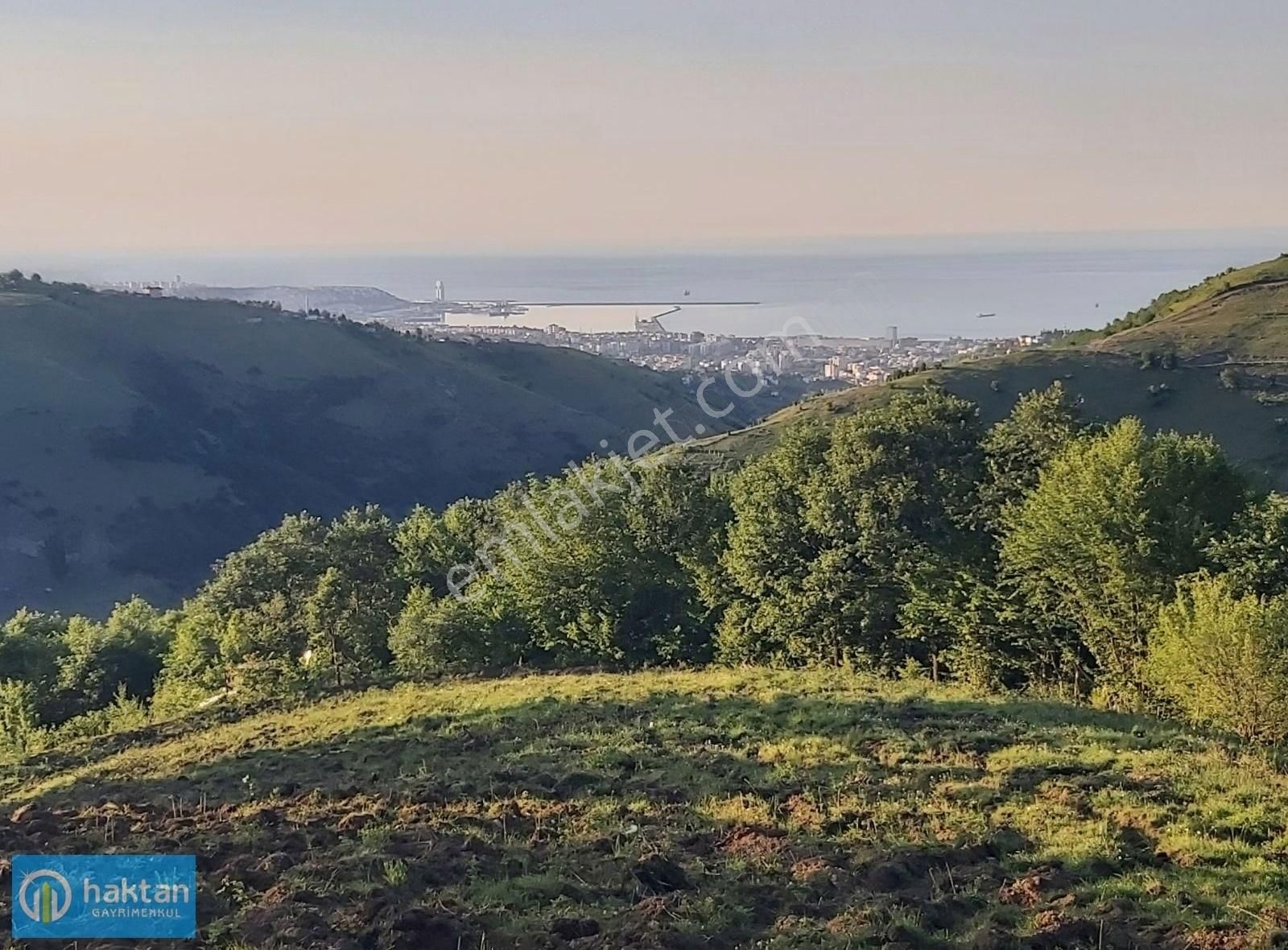 Samsun Canik Gürgenyatak Orman İçinde Manzaralı Satılık Tarla - Görsel 4