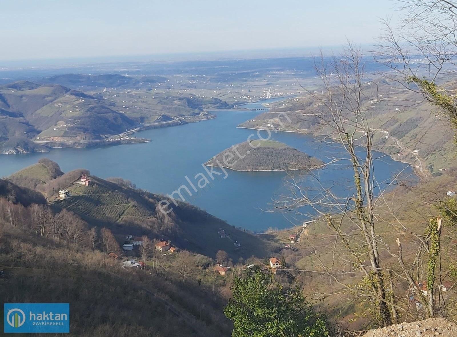 Samsun Ayvacık Ortaköyde Acil Satılık Ev Tarla Arazi Fındıklık