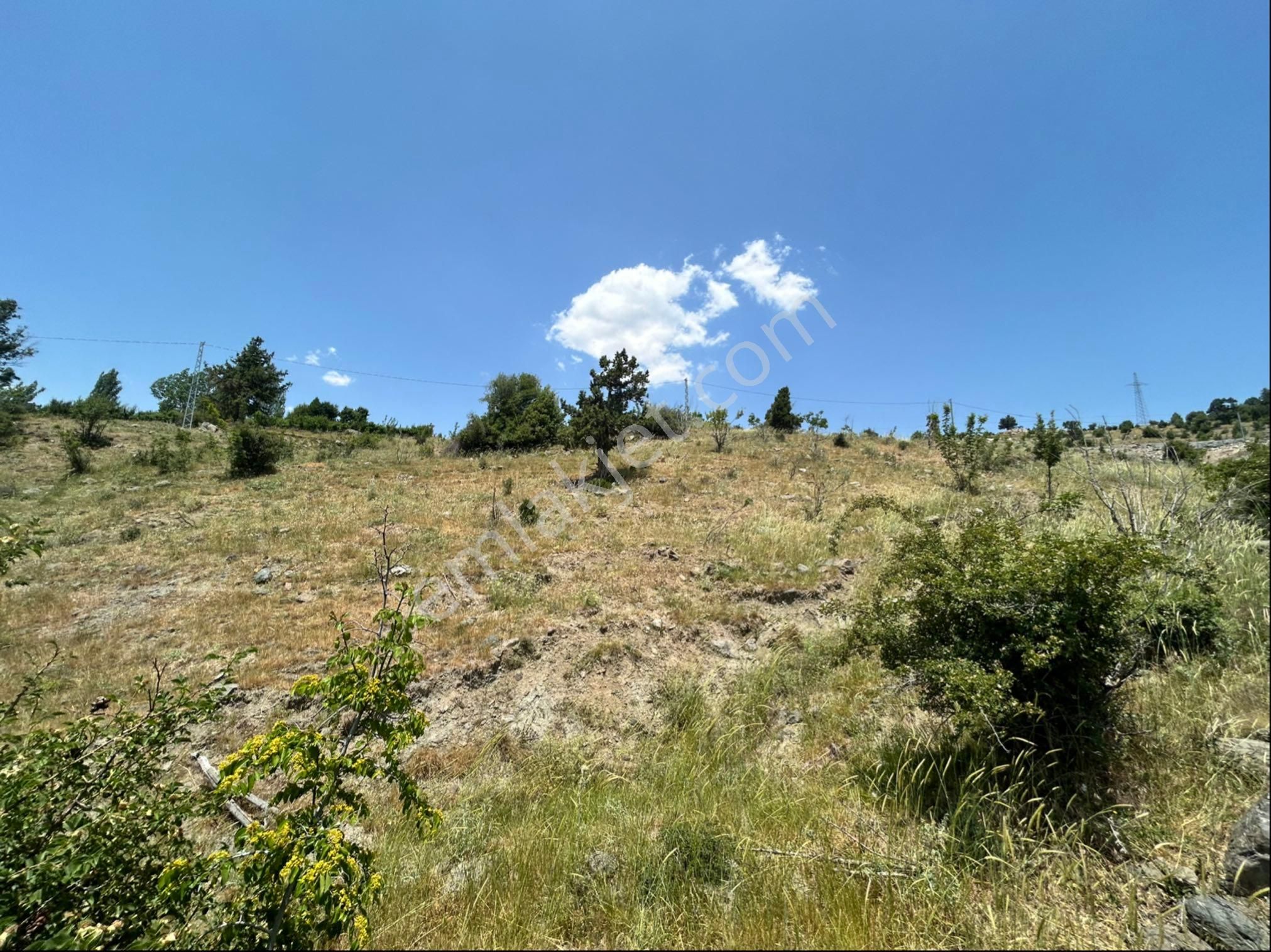 Sorgun Yaylasında Baraj Manzaralı 2700 M2 Yer - Görsel 3