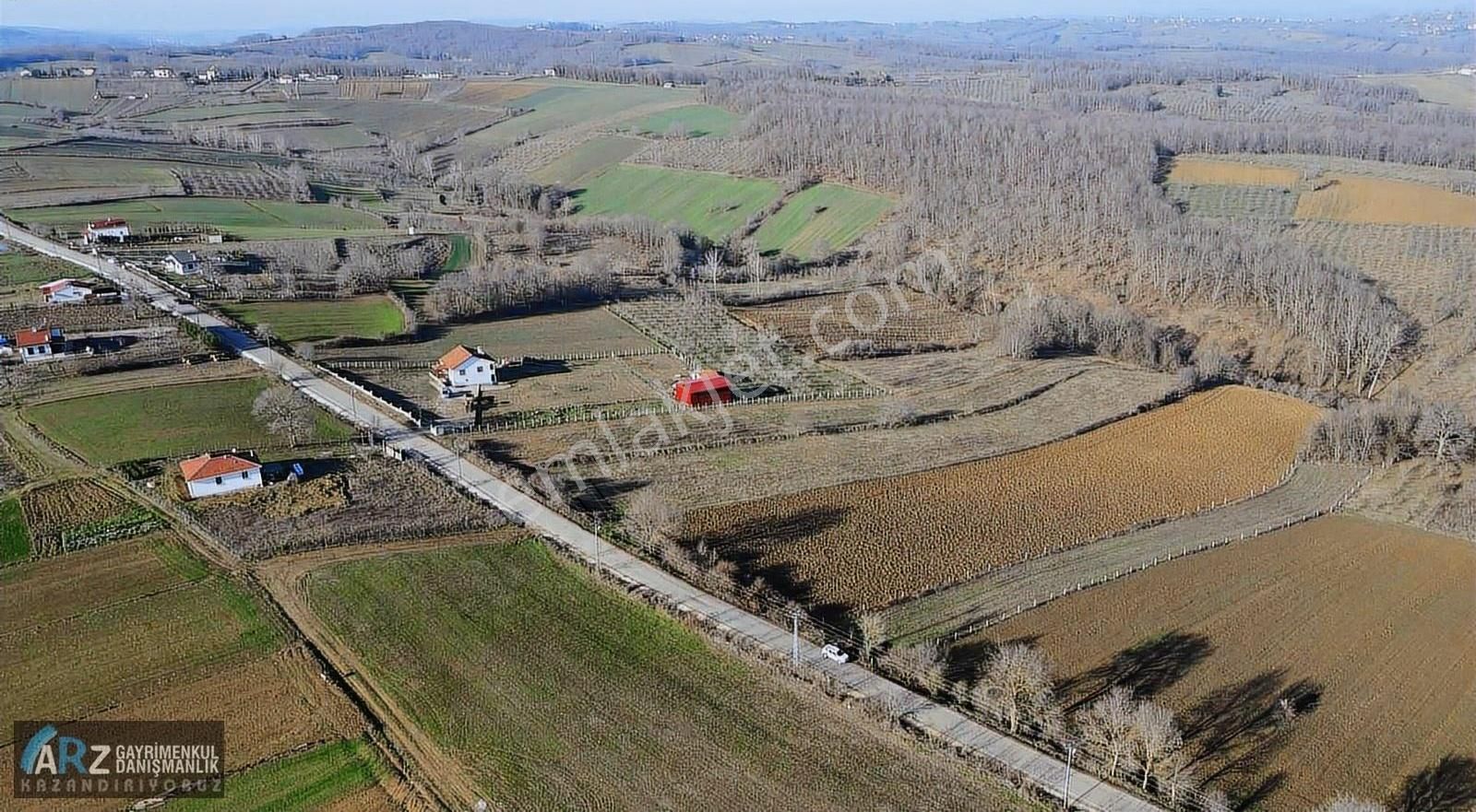 Kandıra Kırkarmutta Asfalt Cephe 100/5 İmarlı Ev Yeri