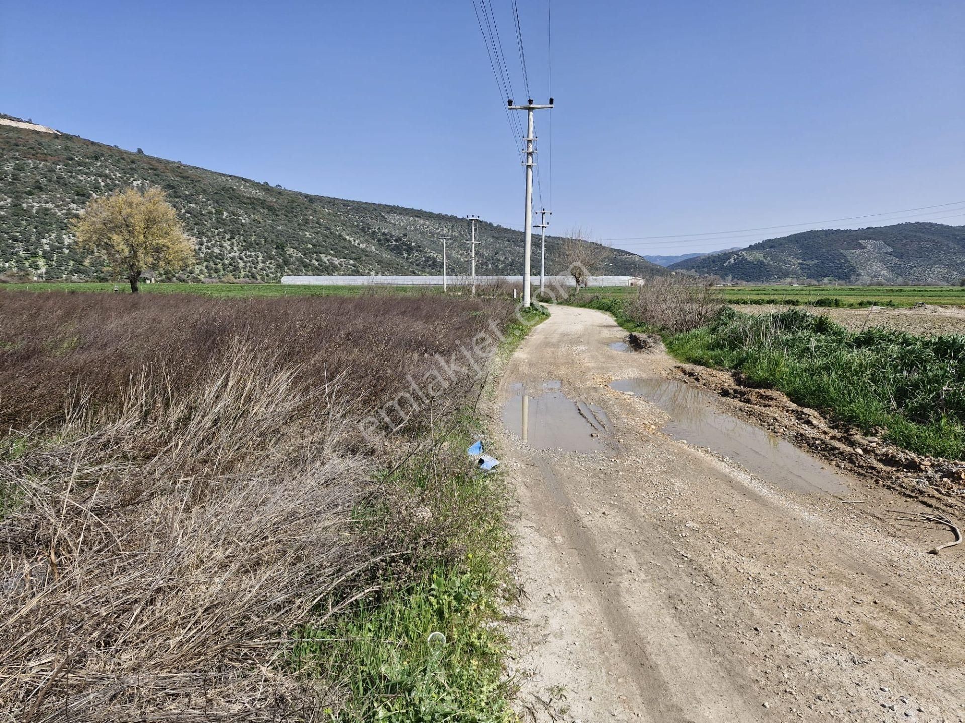 Elvan Özçelik'den Ovakışlacıkta Satılık Kadastral Yolu Olan Tarla