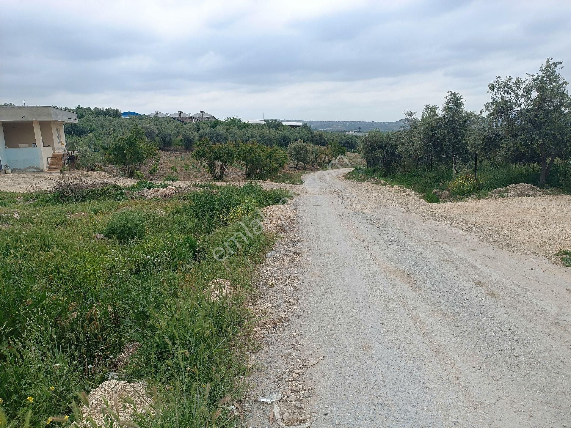 Tarsus Es Emlaktan Satılık Çakırlı Köyü İcinde Arsa