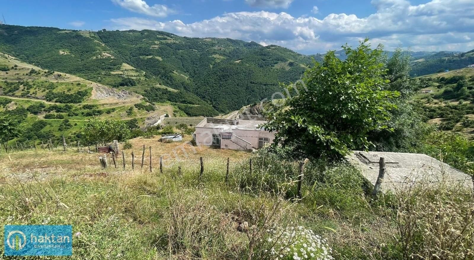 Samsun Canik Sarıbıyık 17.323 M2 Satılık Arazi Ve Müstakil Ev - Görsel 4