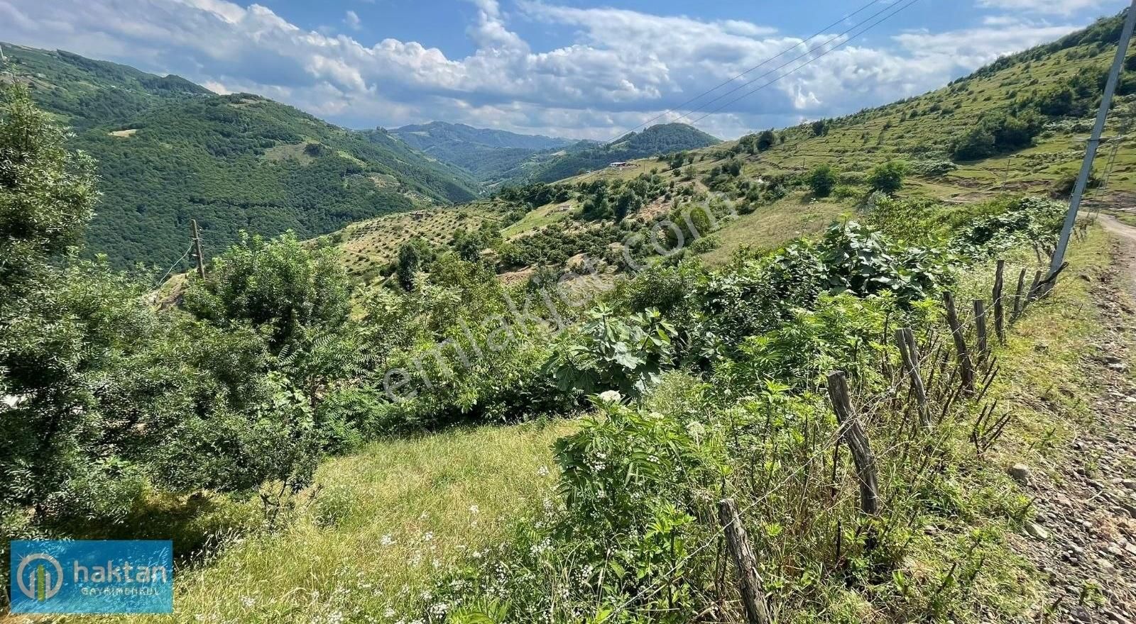 Samsun Canik Sarıbıyık 17.323 M2 Satılık Arazi Ve Müstakil Ev - Görsel 2