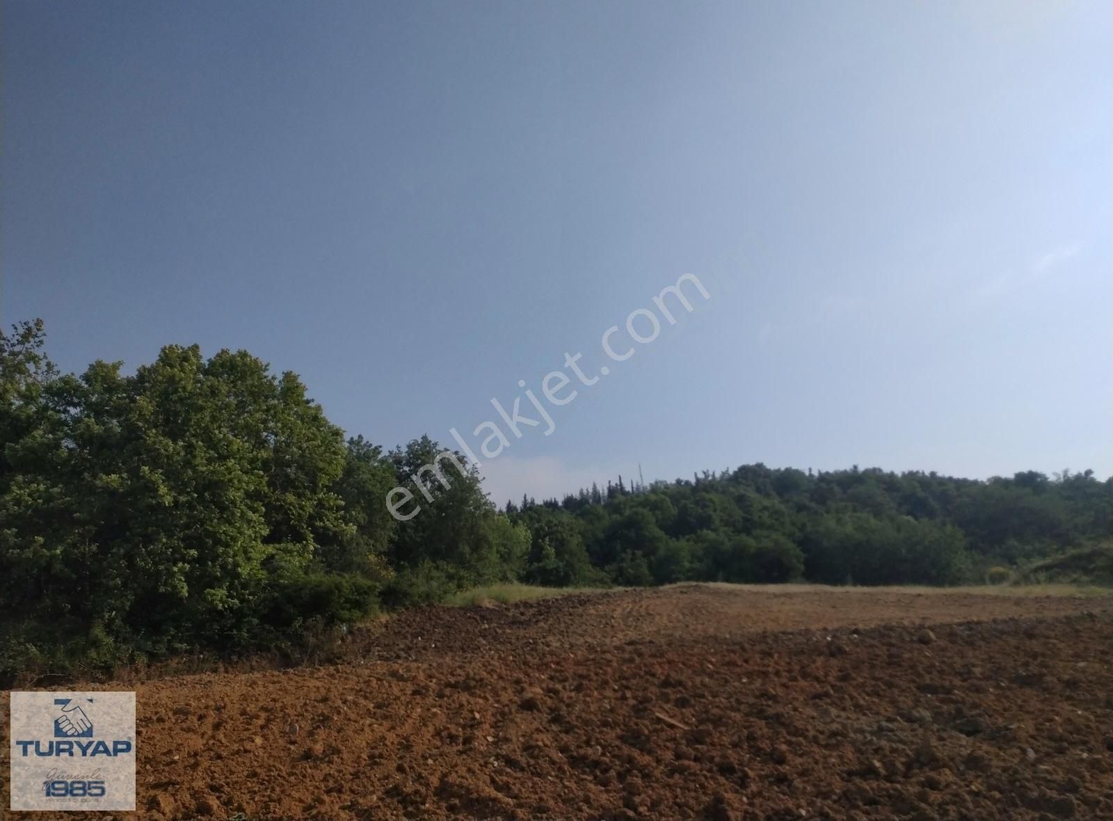 Yalova Merkez Samanlı Havuzlu Site Satılık 1+1