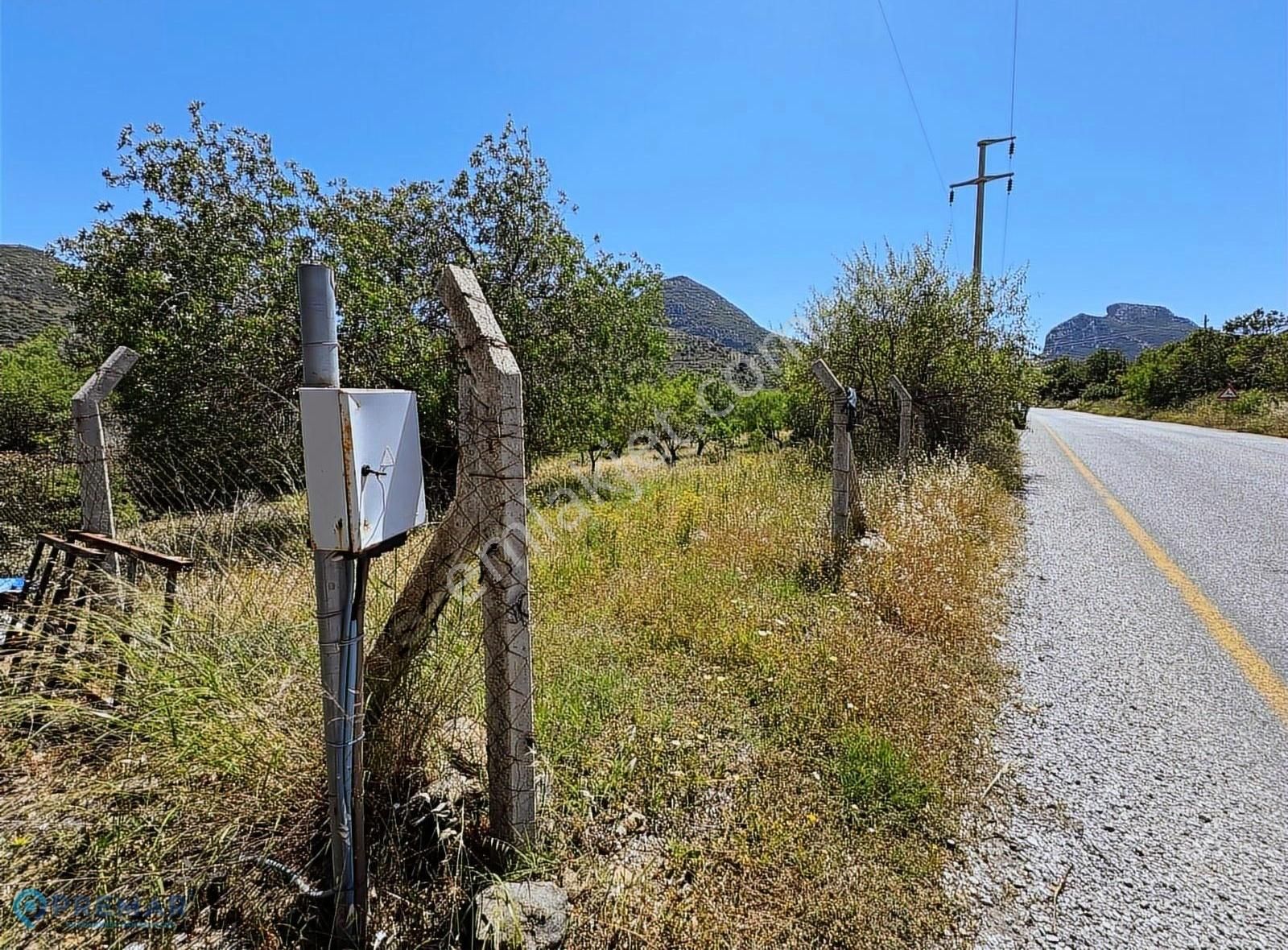 Premar Datça Hızırşah'ta Knidos Asfaltına Sıfır 2965m2 Bademlik