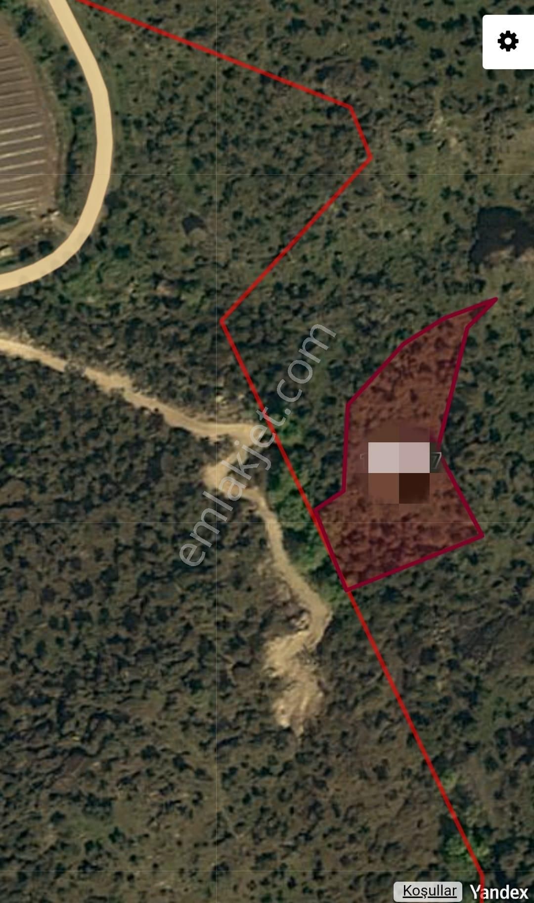 Güzeltepe Köyü Sökede Satılık Zeytinlik - Görsel 2