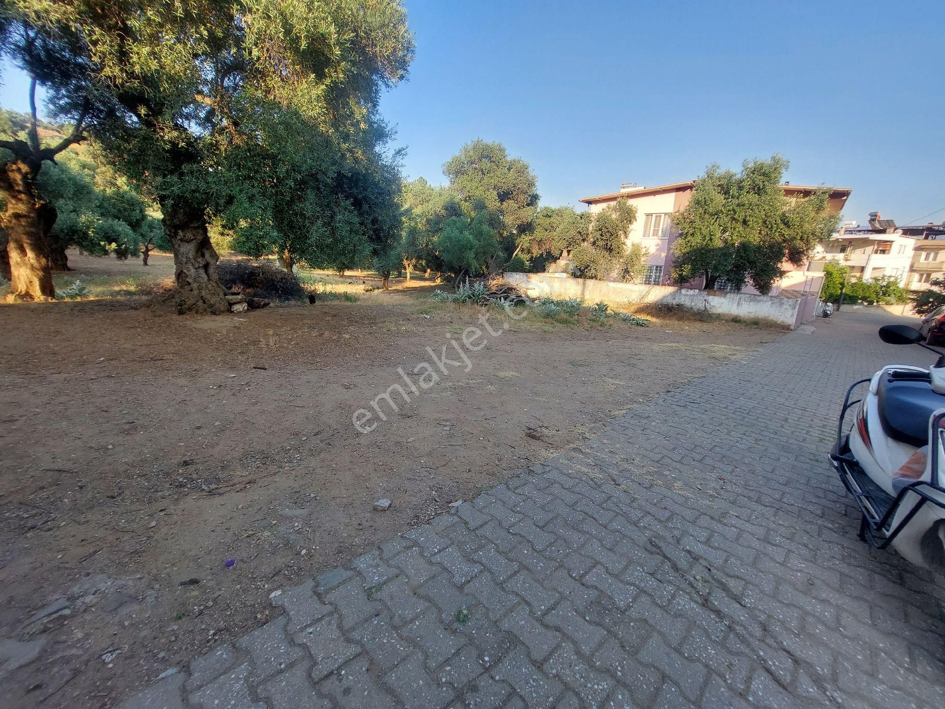 Pınarbaşı Mah. 255 M2 Şelale Mevkii Satılık Arsa