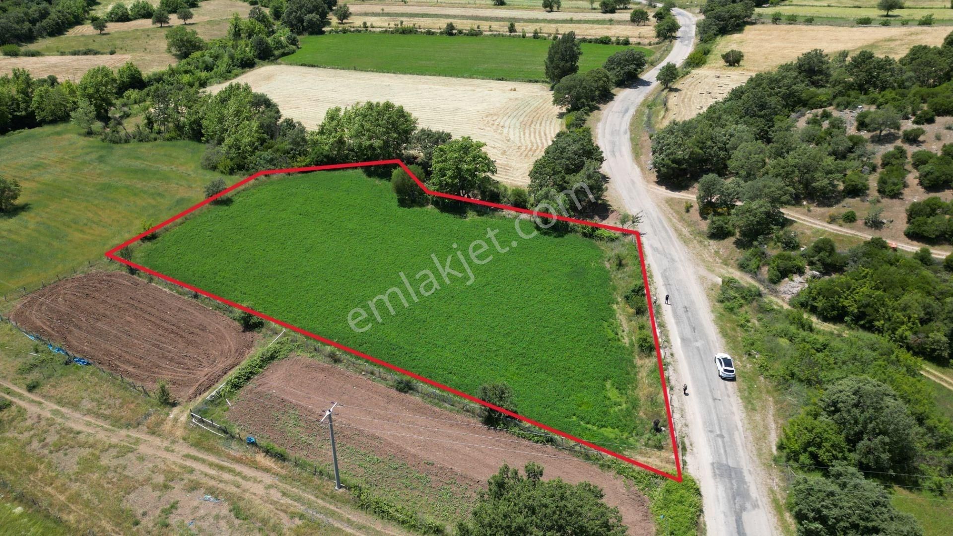Çanakkale Ayvacık Baharlar Köyü Satılık Tarla Yola Cephe