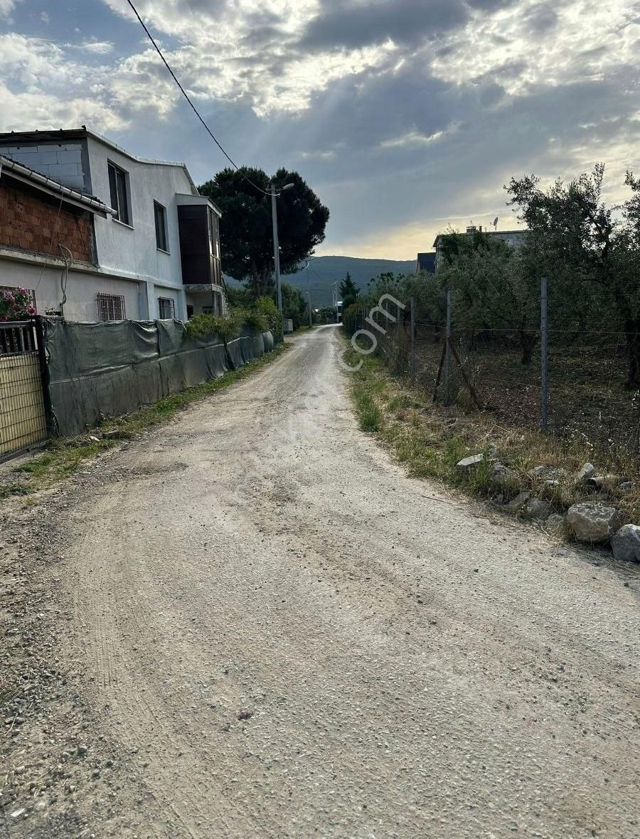 Bursa Emlak Alem-imuradiye De İmar Planı İçerisinde Kalan 1582m2 - Görsel 7