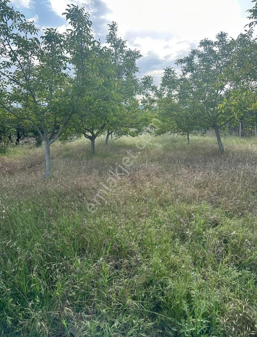 Bursa Emlak Alem-imuradiye De İmar Planı İçerisinde Kalan 1582m2 - Görsel 3