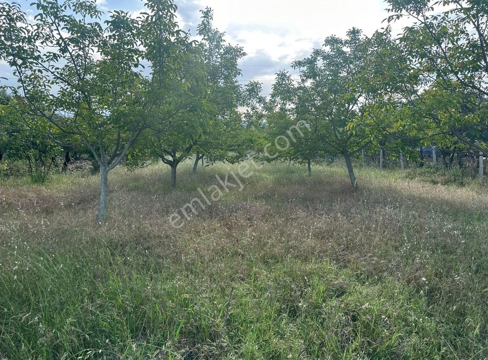 Bursa Emlak Alem-imuradiye De İmar Planı İçerisinde Kalan 1582m2 - Görsel 12