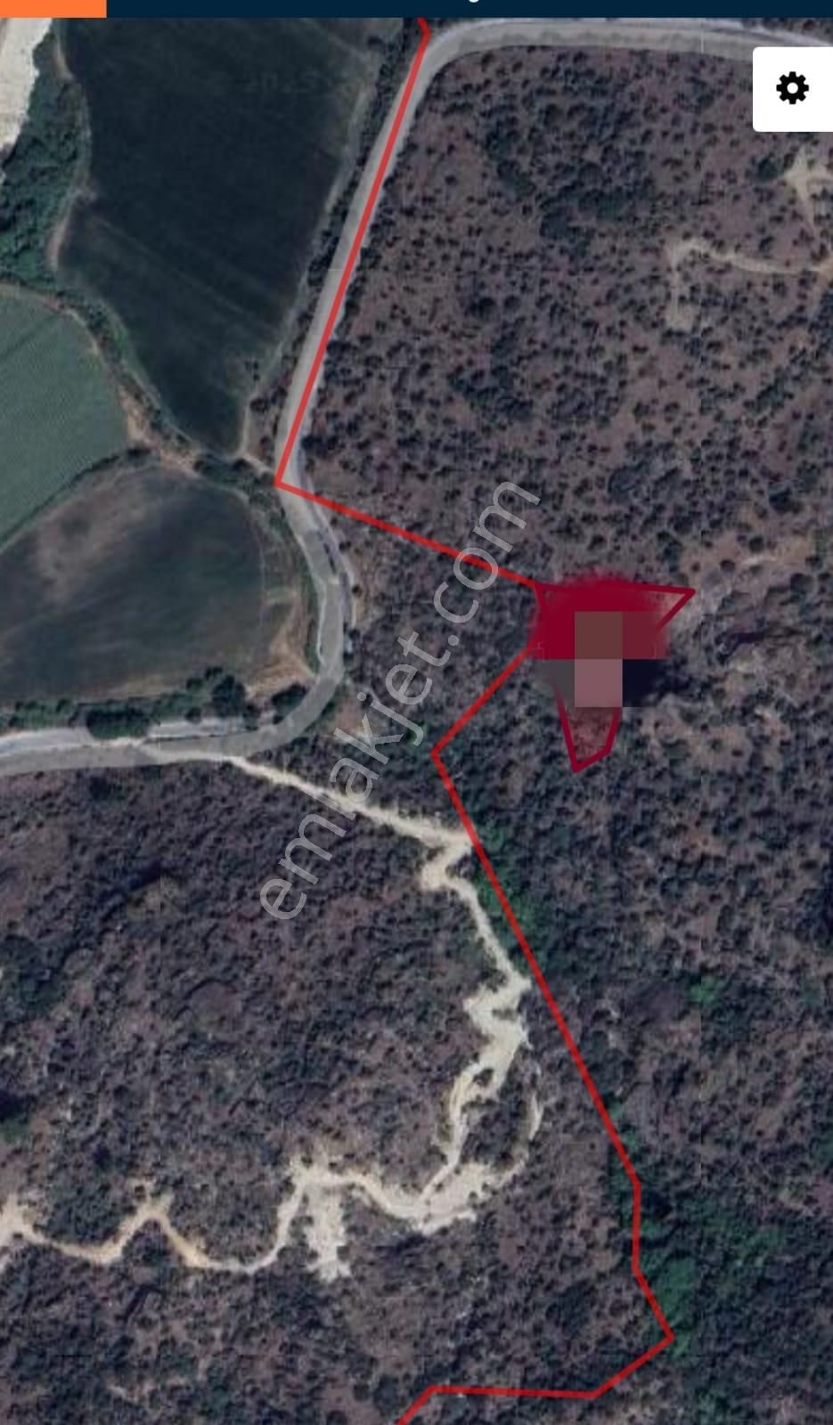 Güzeltepe Köyü Sökede Satılık Zeytinlik - Görsel 3