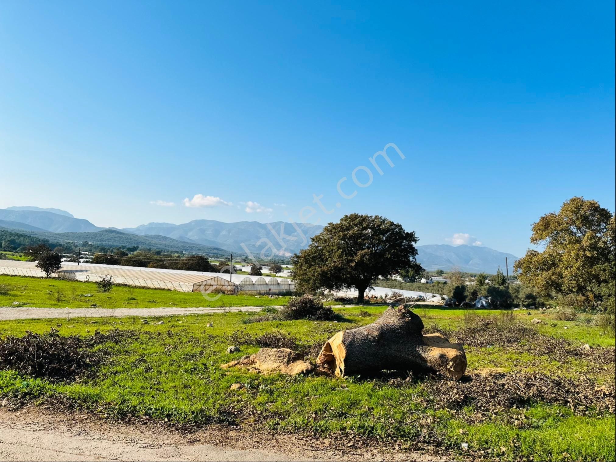 Sahibinden Antalya Kaş Palamuta 1.454 Metre² 3 Cephesi Yol Merkezi Konumda - Görsel 8