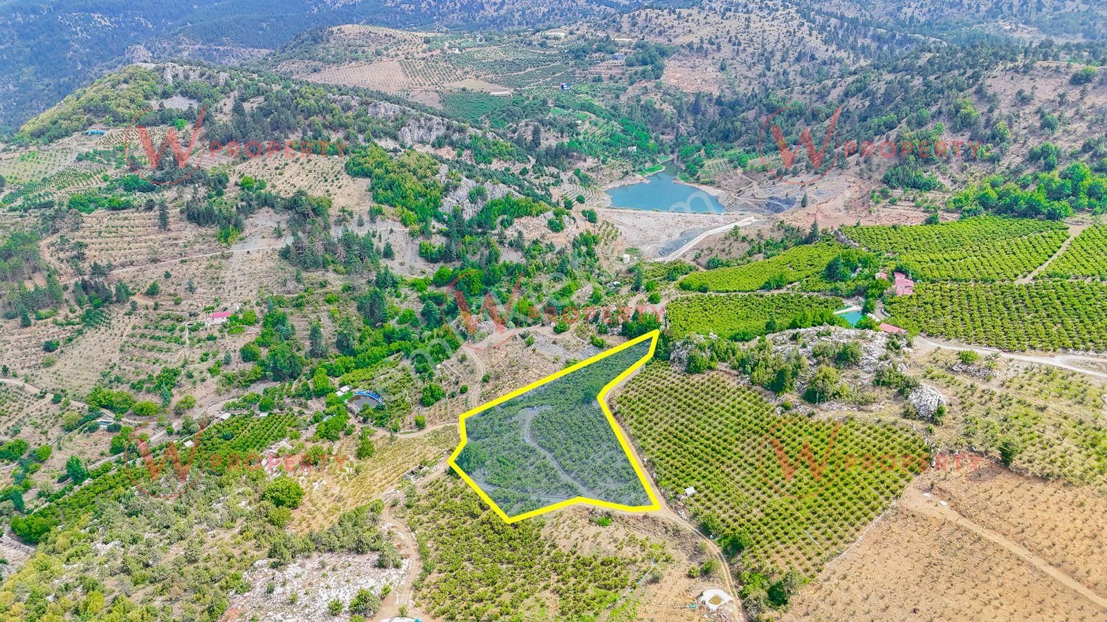 W Property Verimli Ve Hazır Toroslar'da Satılık Şeftali Bahçesi
