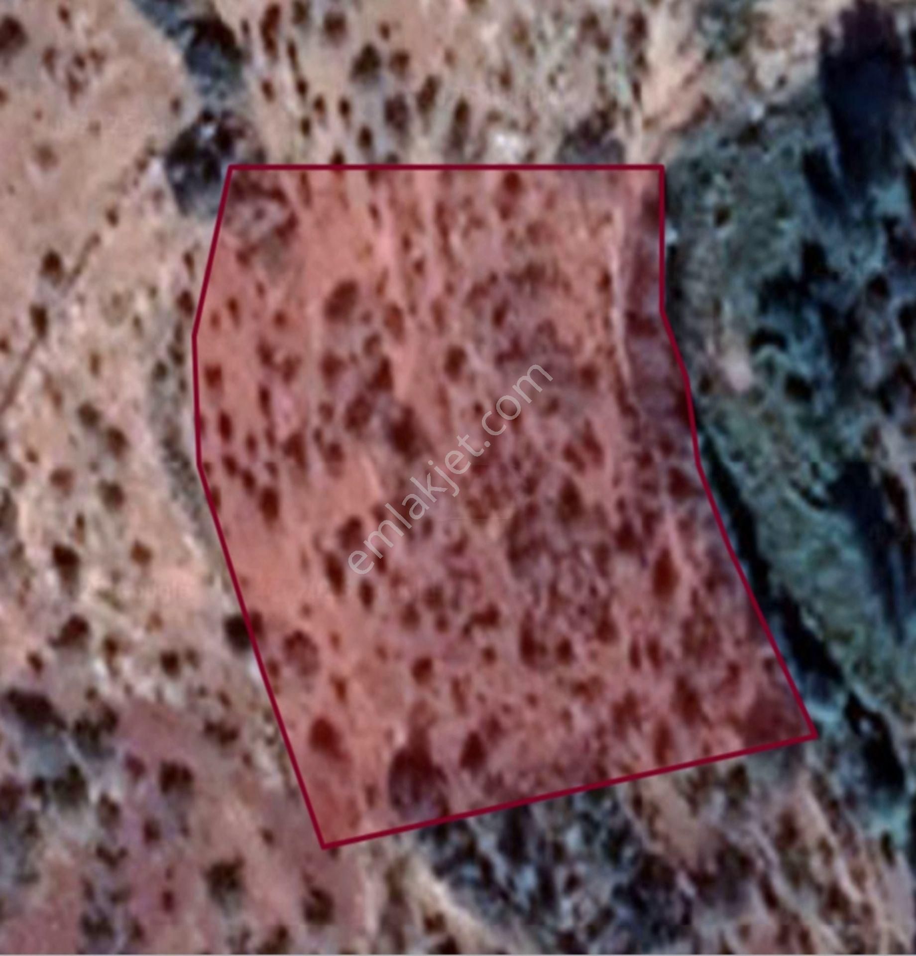 Nizip Tatlıcak Da 5770 M2 Yatırımlık Tek Tapu Fıstıklık - Görsel 4