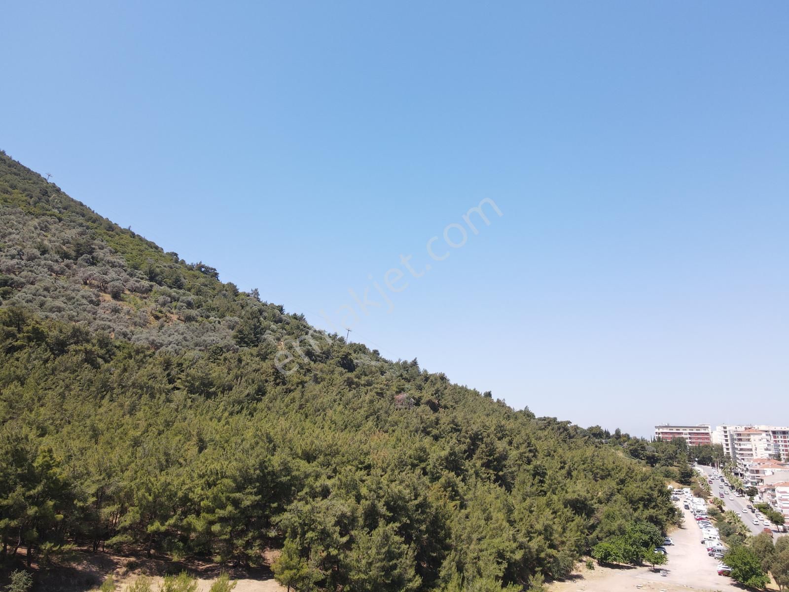 Asil'den Balçova Teleferikte 838 M2 Hisseli Zeytinlik - Görsel 19