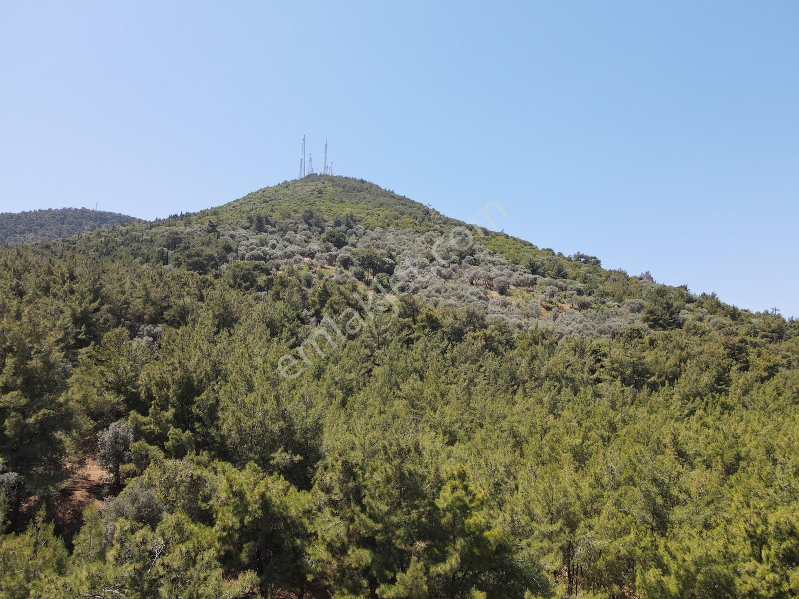Asil'den Balçova Teleferikte 838 M2 Hisseli Zeytinlik - Görsel 21