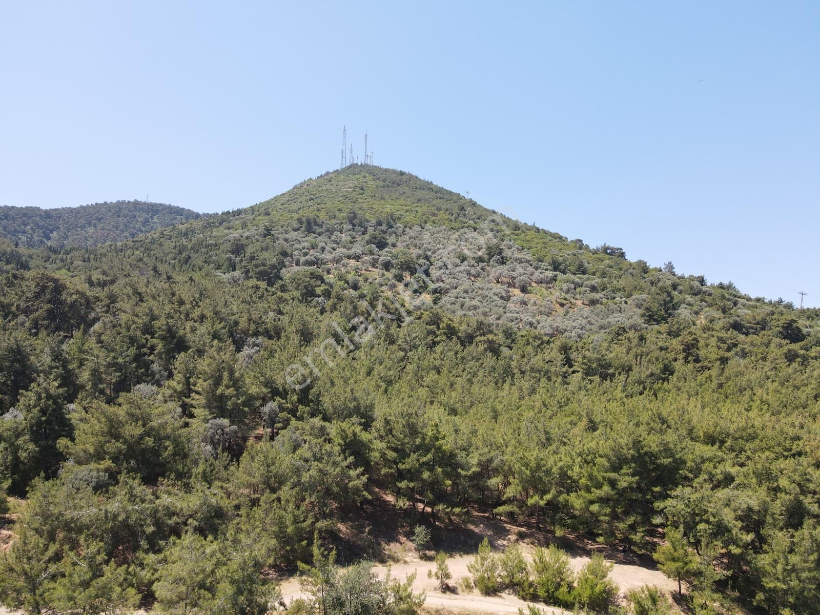 Asil'den Balçova Teleferikte 838 M2 Hisseli Zeytinlik - Görsel 4
