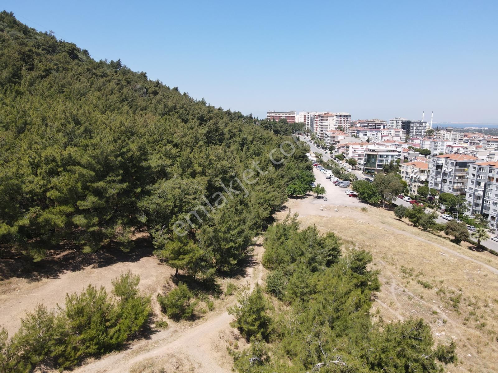 Asil'den Balçova Teleferikte 838 M2 Hisseli Zeytinlik - Görsel 8