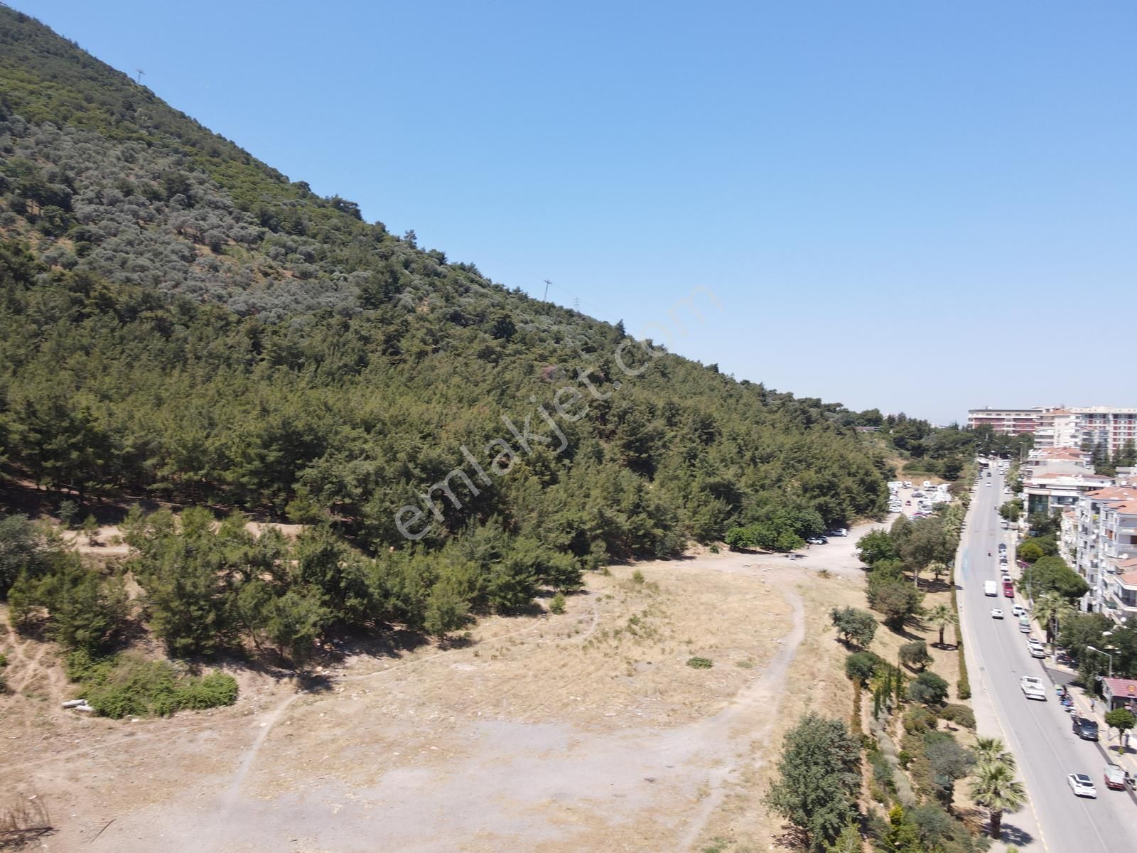 Asil'den Balçova Teleferikte 838 M2 Hisseli Zeytinlik - Görsel 24