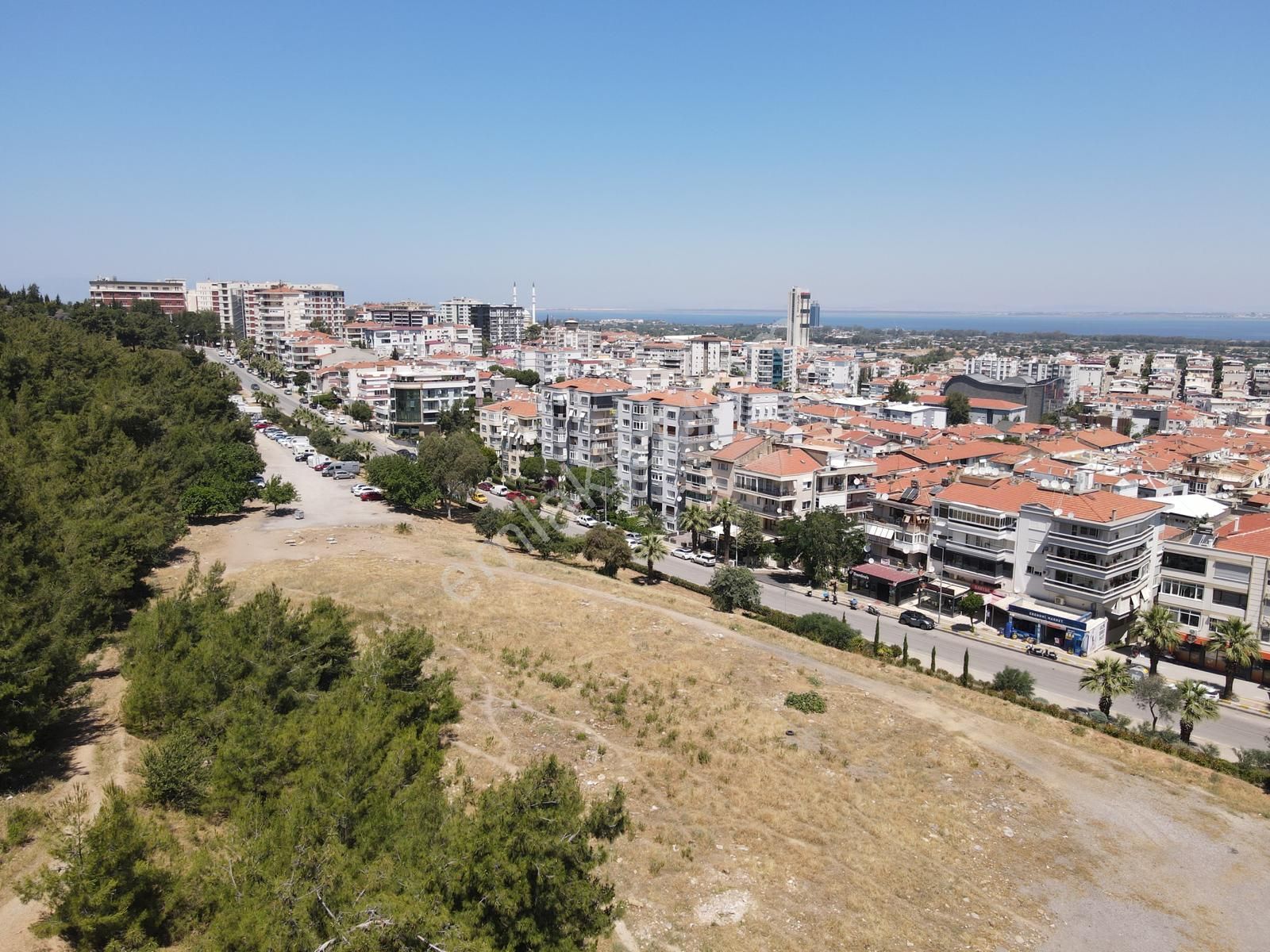 Asil'den Balçova Teleferikte 838 M2 Hisseli Zeytinlik - Görsel 9