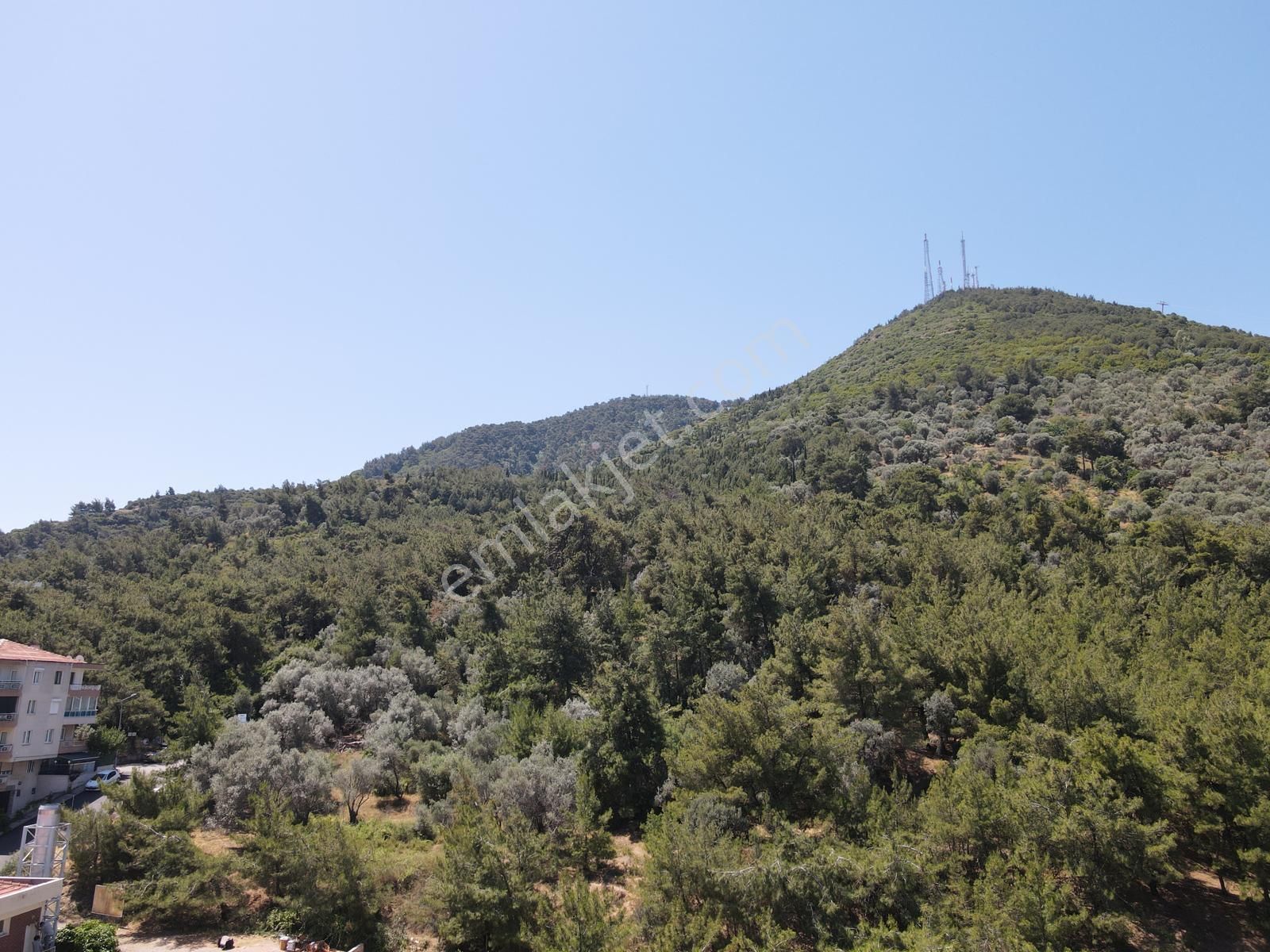 Asil'den Balçova Teleferikte 838 M2 Hisseli Zeytinlik - Görsel 20
