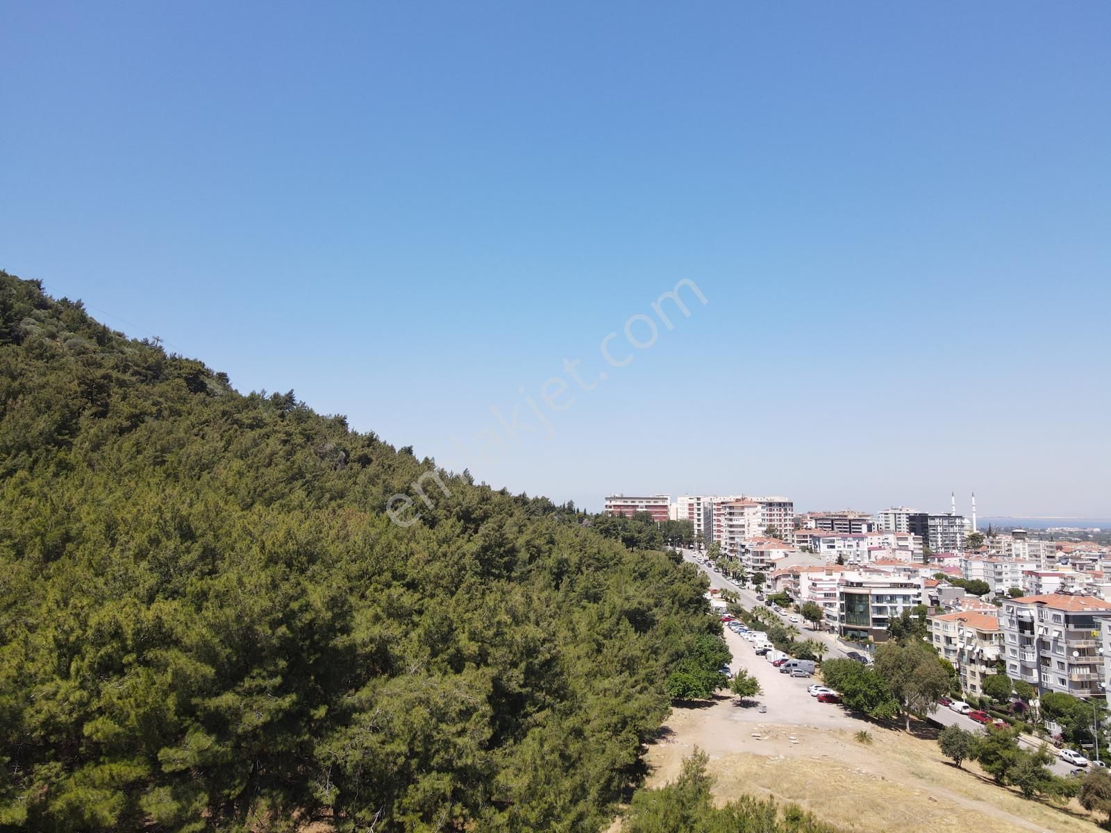 Asil'den Balçova Teleferikte 838 M2 Hisseli Zeytinlik - Görsel 18