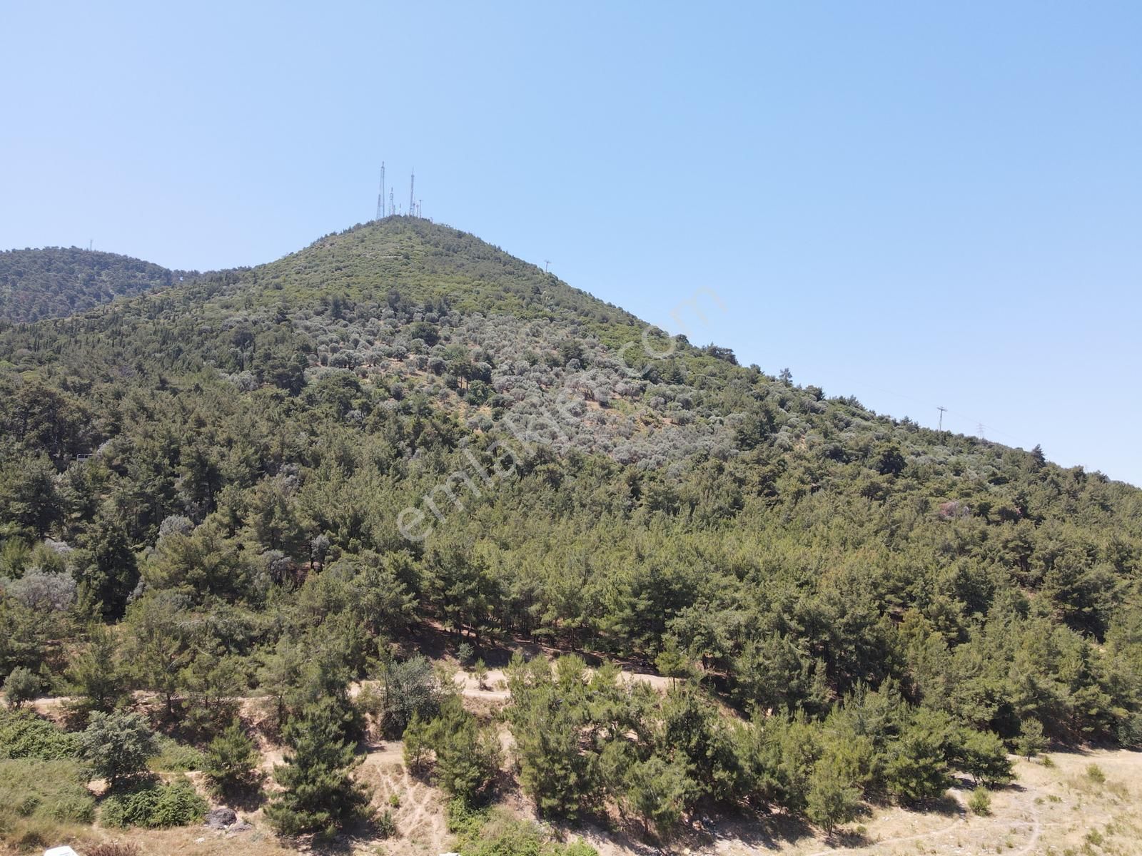 Asil'den Balçova Teleferikte 838 M2 Hisseli Zeytinlik - Görsel 27
