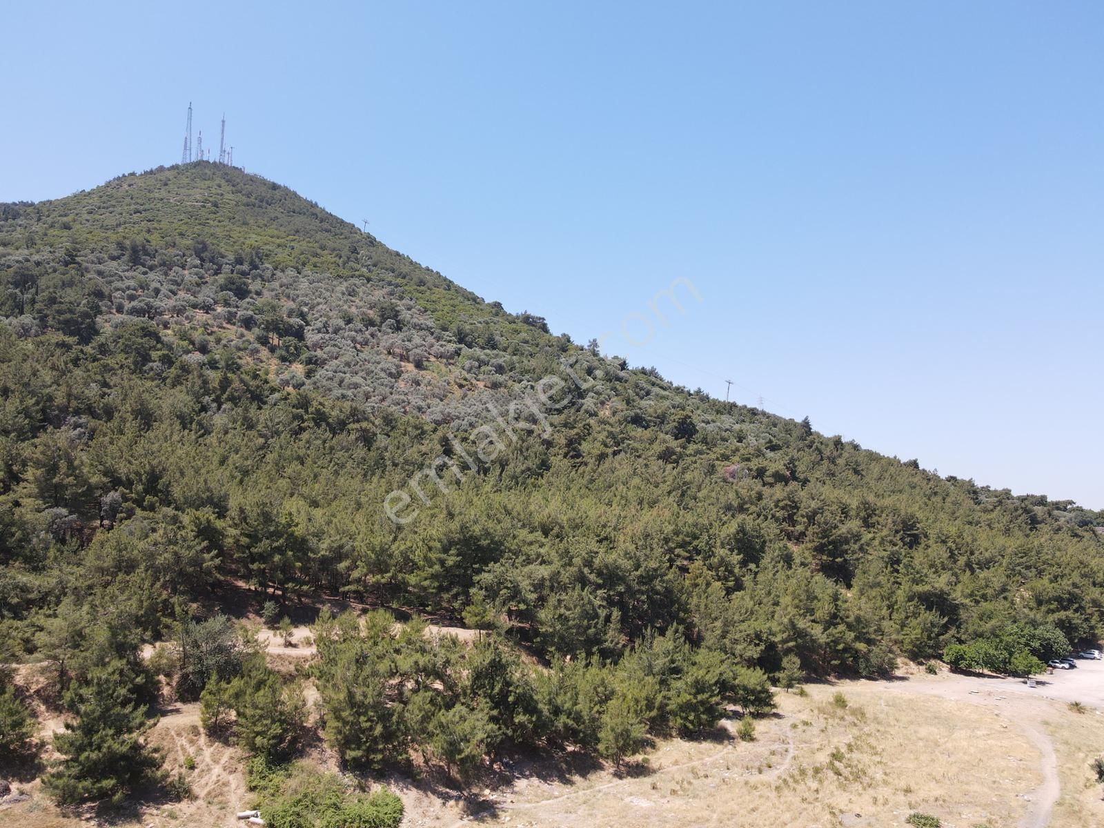 Asil'den Balçova Teleferikte 838 M2 Hisseli Zeytinlik - Görsel 28
