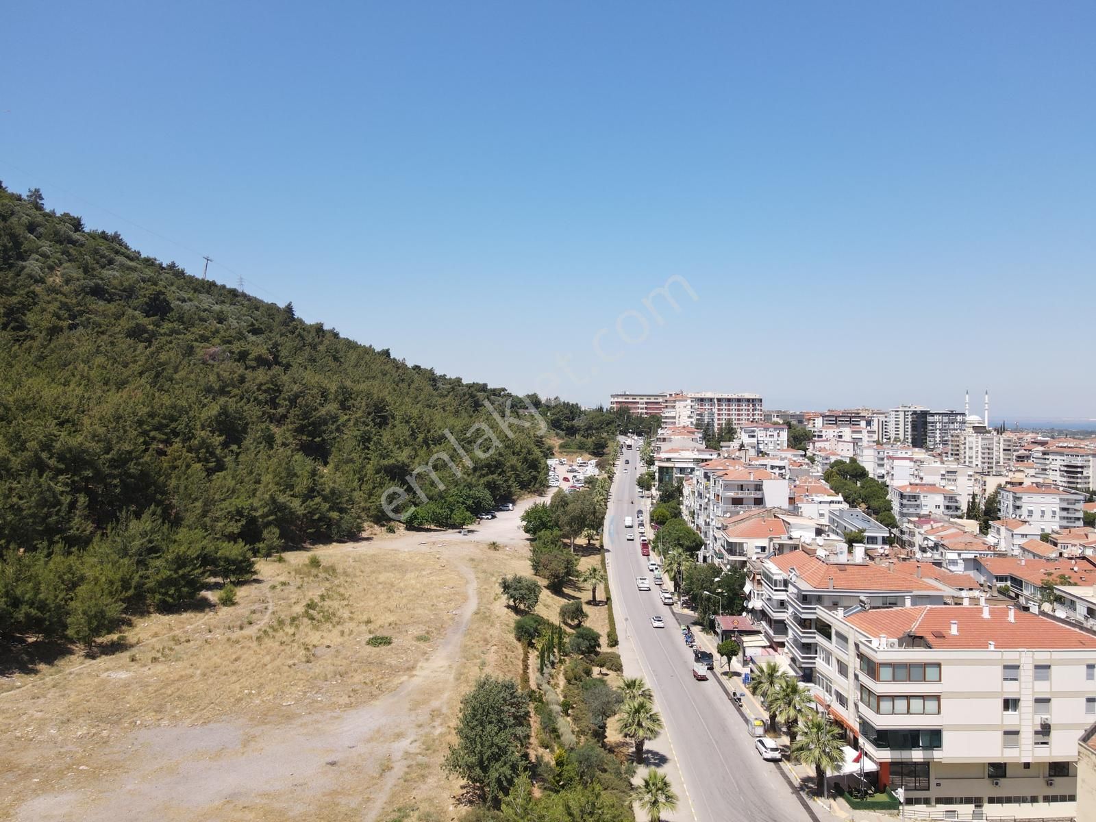 Asil'den Balçova Teleferikte 838 M2 Hisseli Zeytinlik - Görsel 25