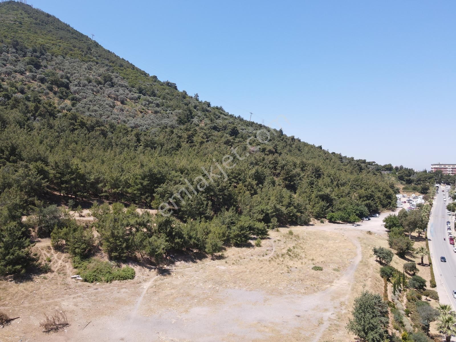 Asil'den Balçova Teleferikte 838 M2 Hisseli Zeytinlik - Görsel 23