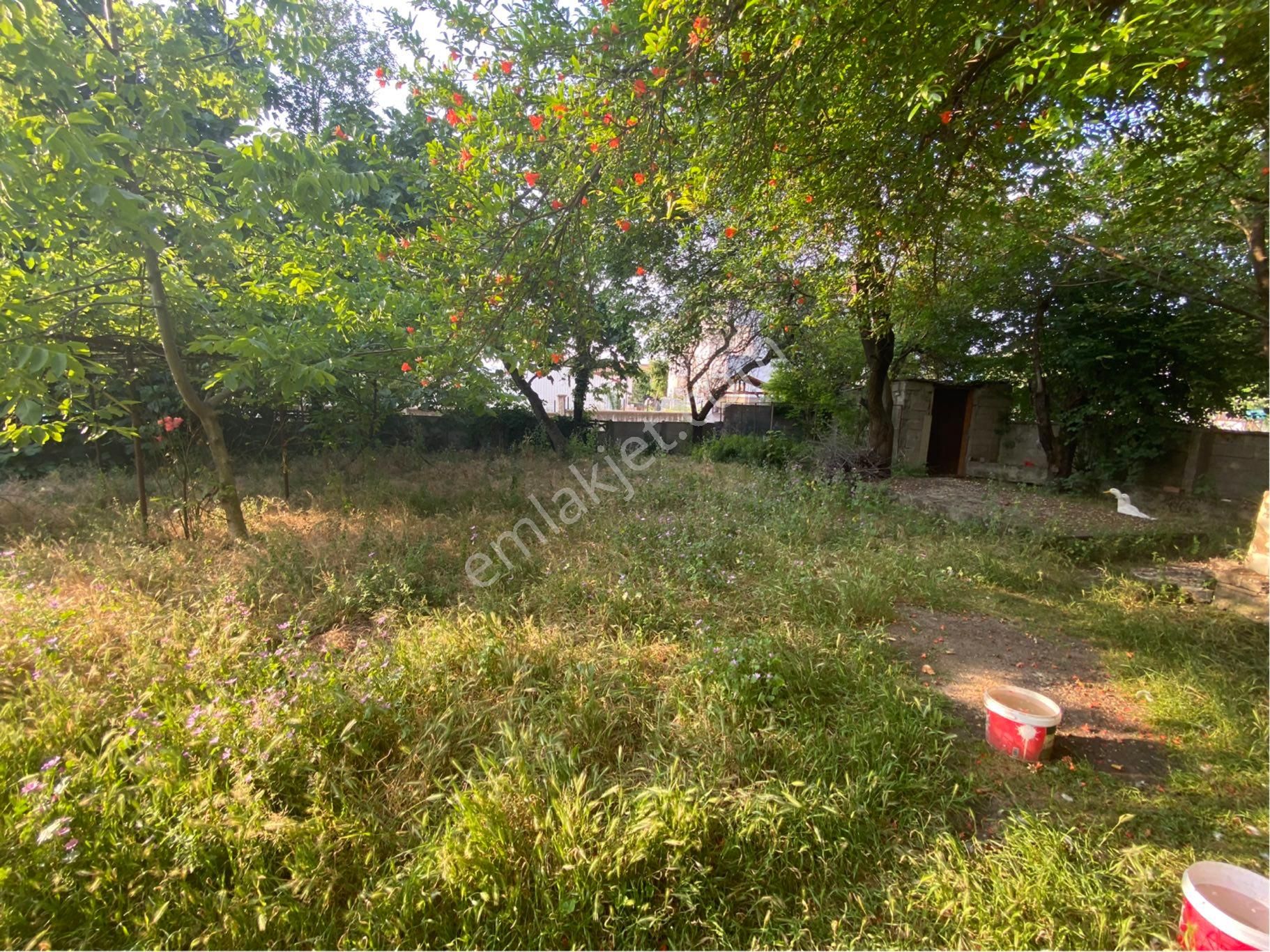 Sapanca Merkez Çayiçi Mah. 593 M2 Arsa İçinde Göl Manzaralı Bir Dükkan Üç Daireden Satılık Mülk - Görsel 13