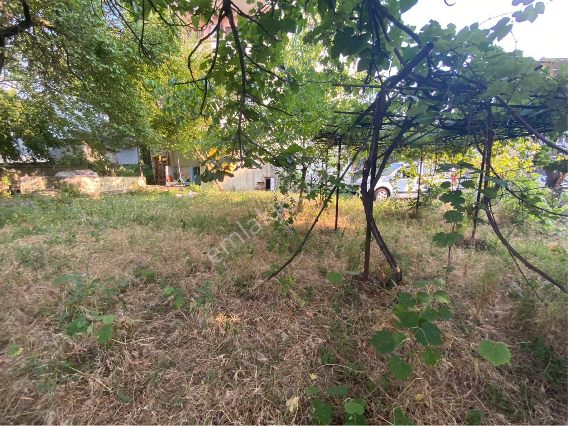 Sapanca Merkez Çayiçi Mah. 593 M2 Arsa İçinde Göl Manzaralı Bir Dükkan Üç Daireden Satılık Mülk - Görsel 16