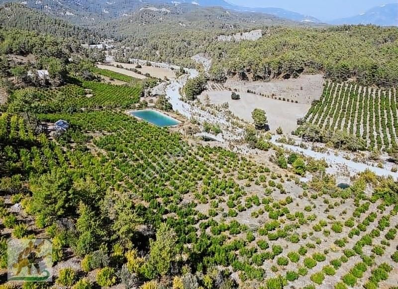 Kaş Gürsu 500 M2 Tapu Çalışması Başladı Şu An 2b Kupon Fiyat