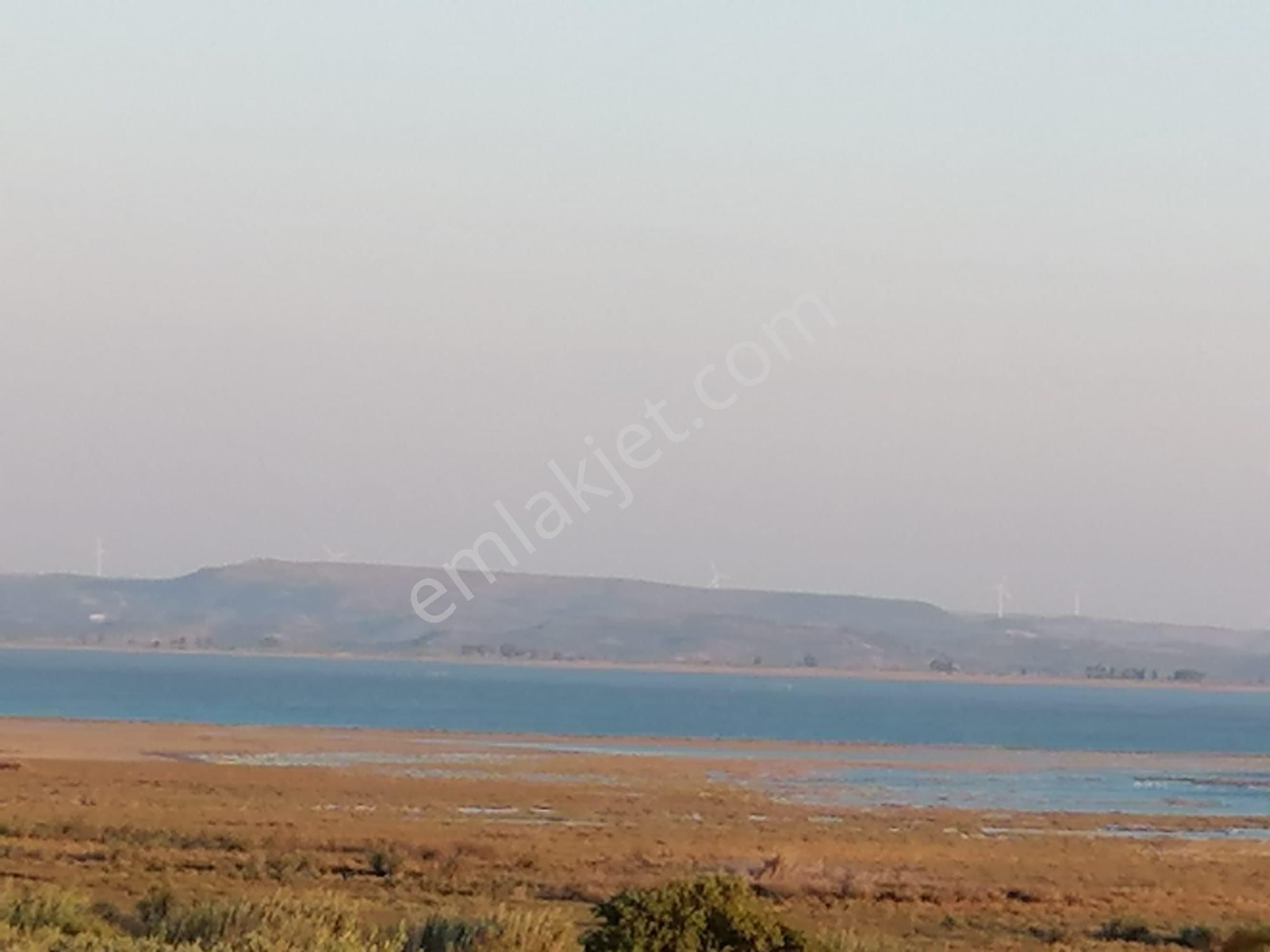 Doğanbey Köyü Sökede Satılık Zeytinlik - Görsel 7