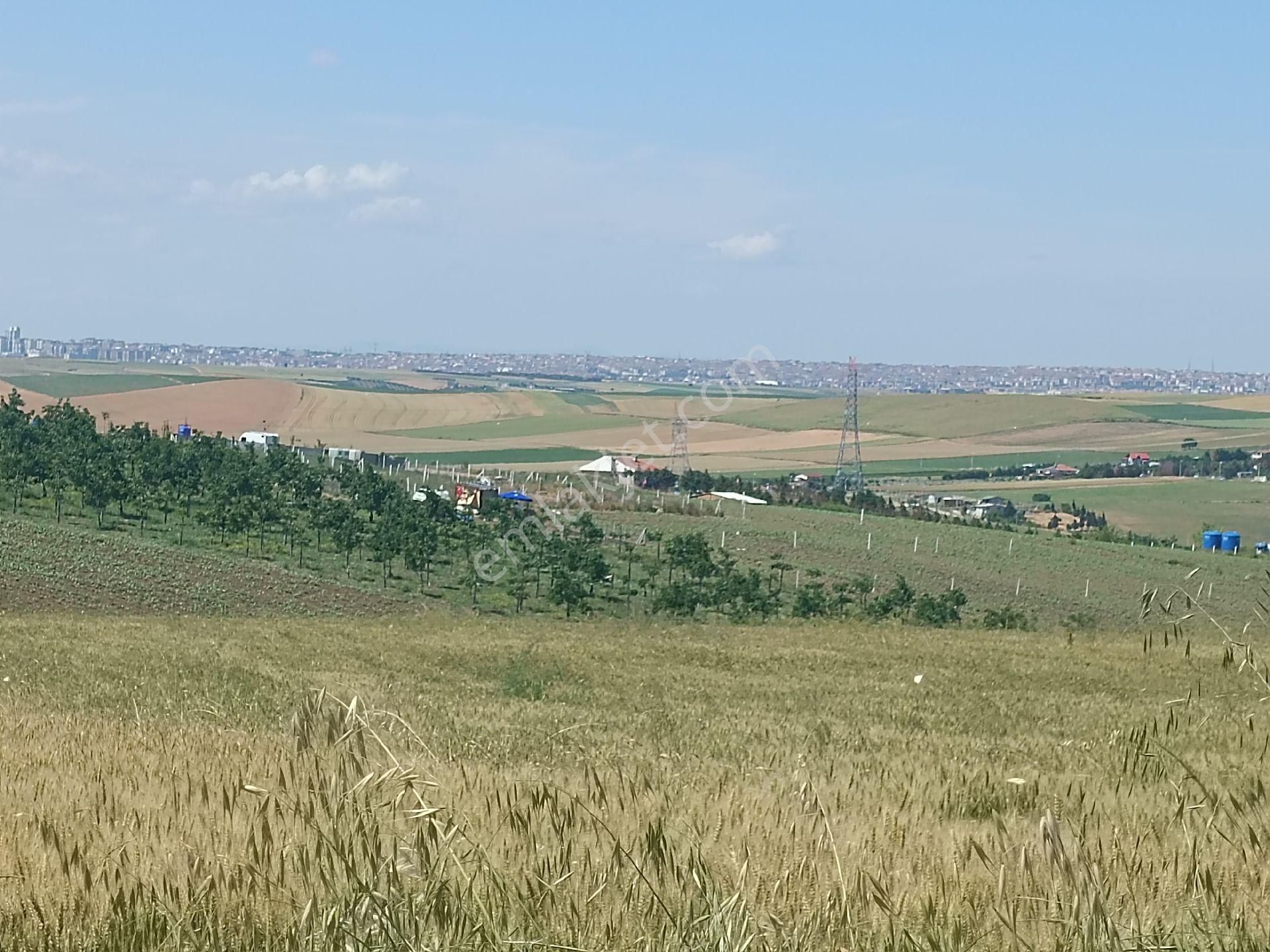 Tekirdağ Marmara Ereğlisi Çeşmeli Herbüççeye Uygun Yerlerimiz Mevcut