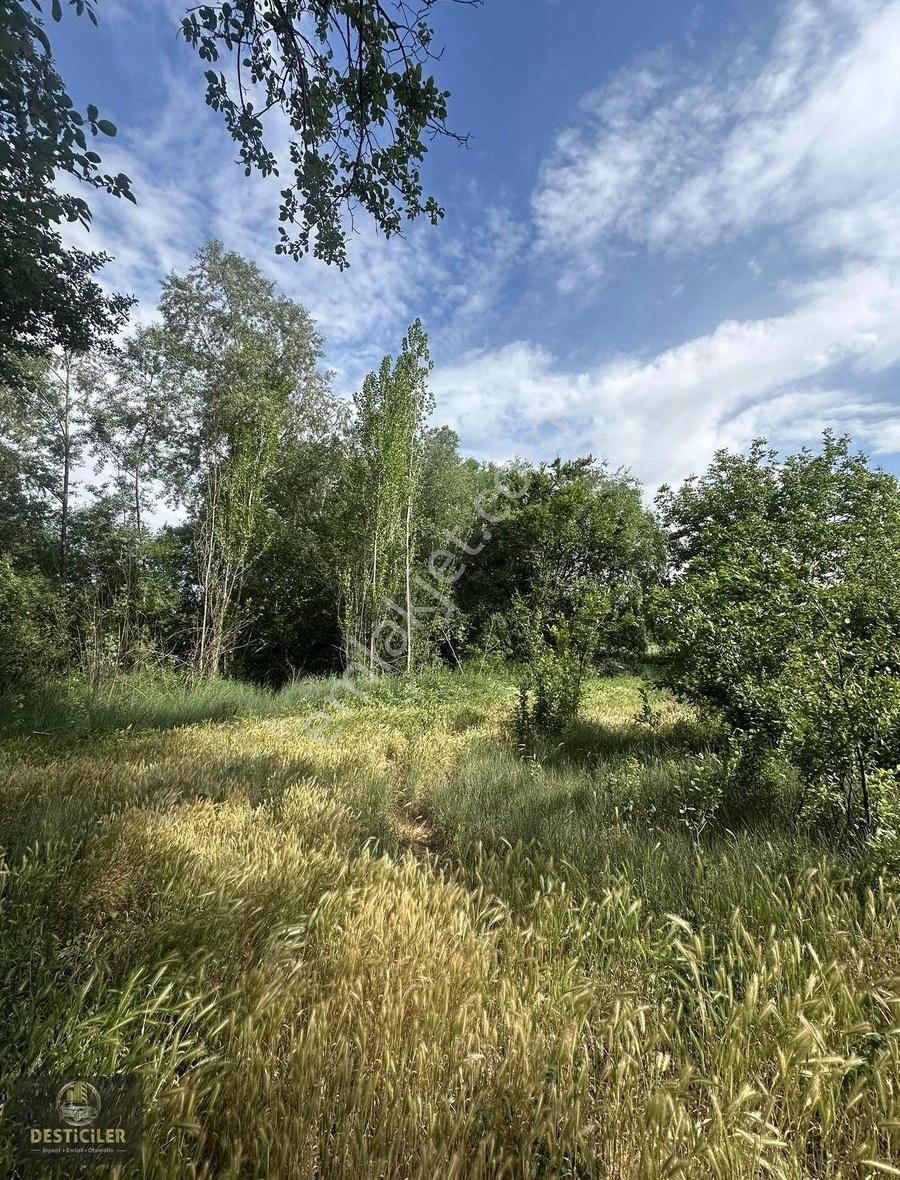Ad-desticiler Sultandere Mahallesi 4.378 M2 Satılık Tarla