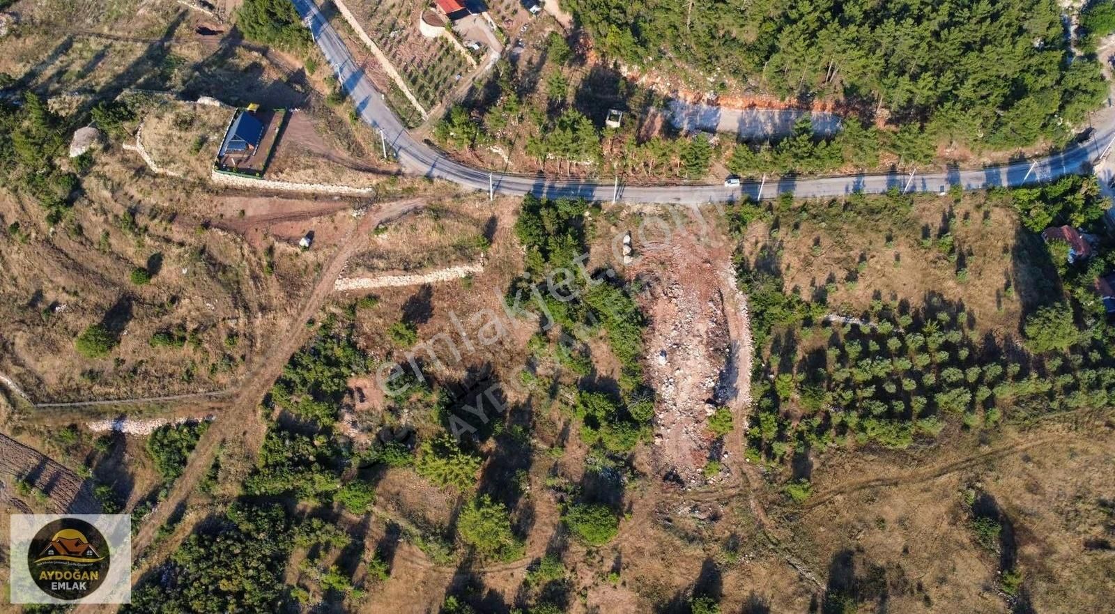 Aydoğan Emlak'tan Adrasan Kavşağına 1 Km Mesafe Satılık Arazi - Görsel 3