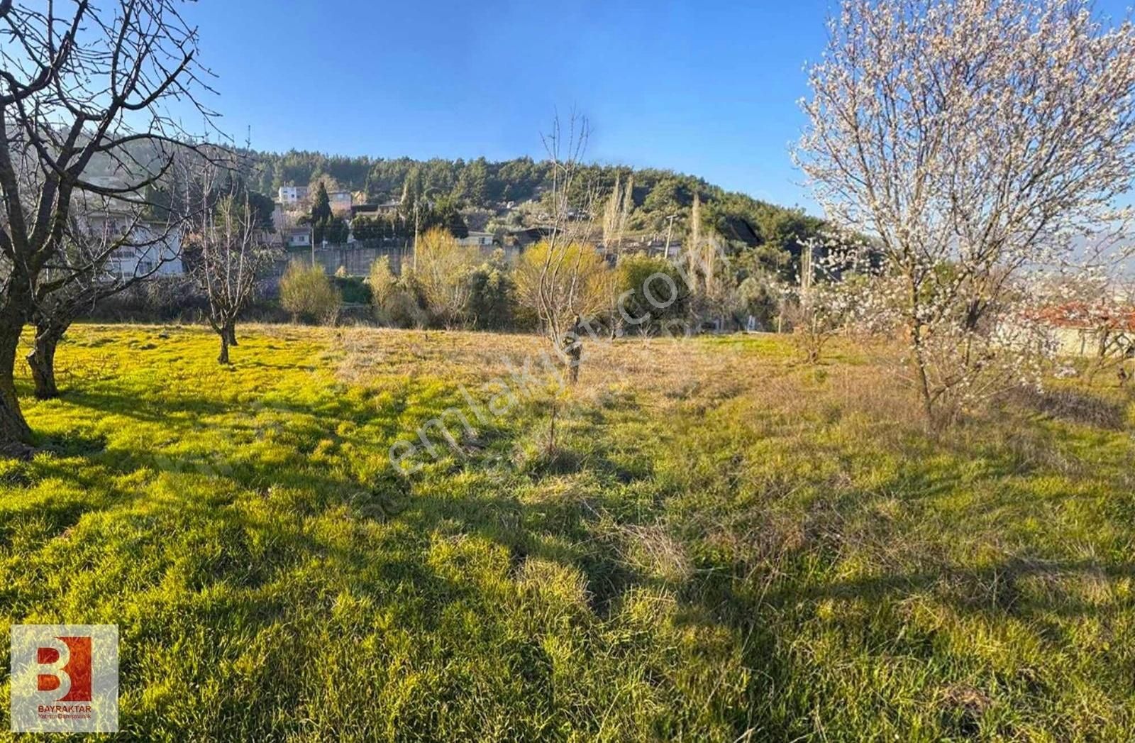 Kemalpaşa Kızılüzümde 1951 M2 Satılık Bahçe( 250m2 İmarlı)