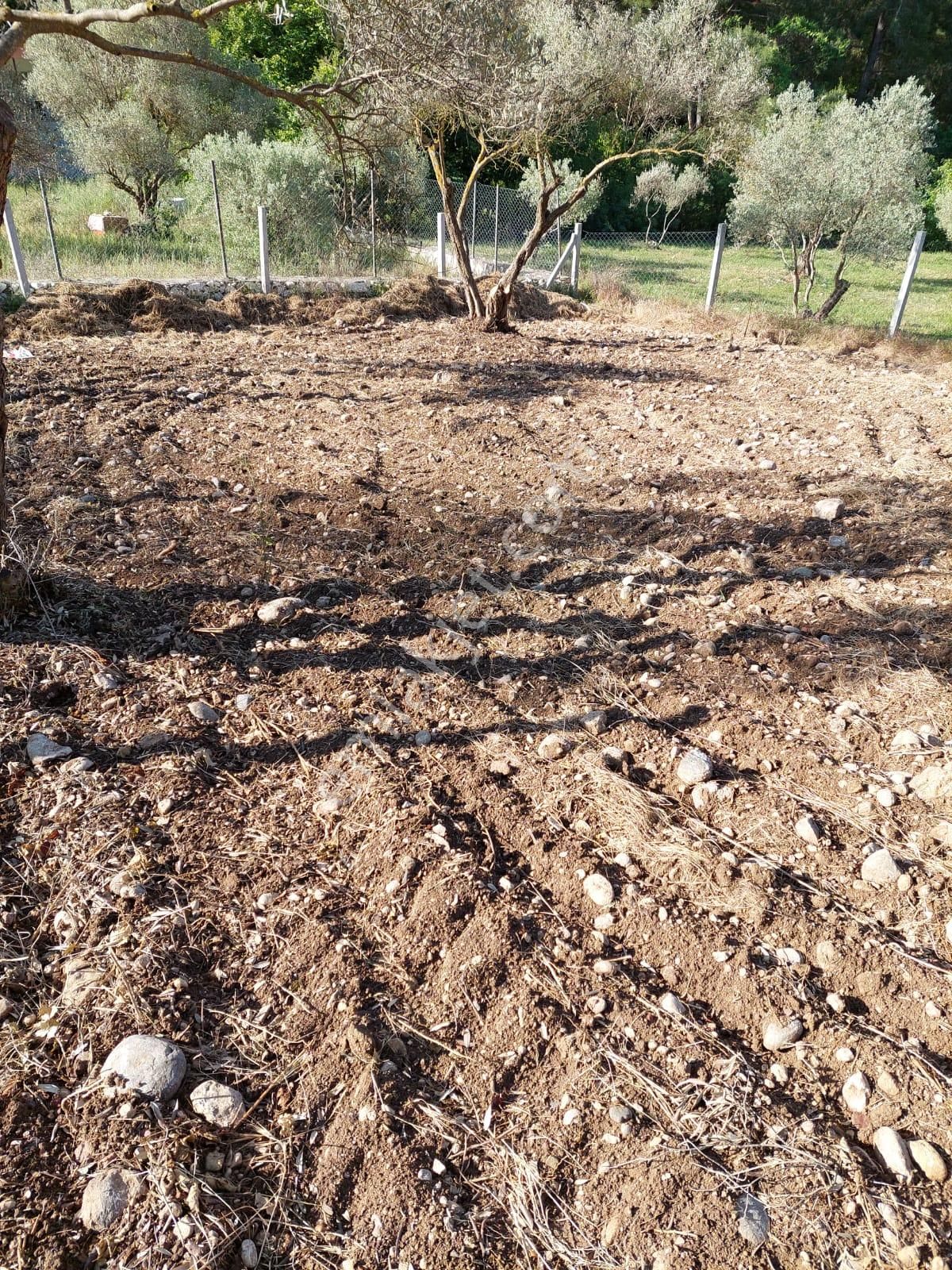 Sahibinden Buca Belenbaşında Satılık Tarla - Görsel 5