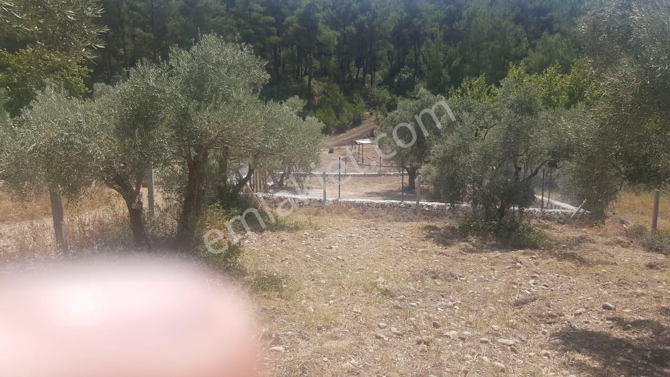 Sahibinden Buca Belenbaşında Satılık Tarla - Görsel 3