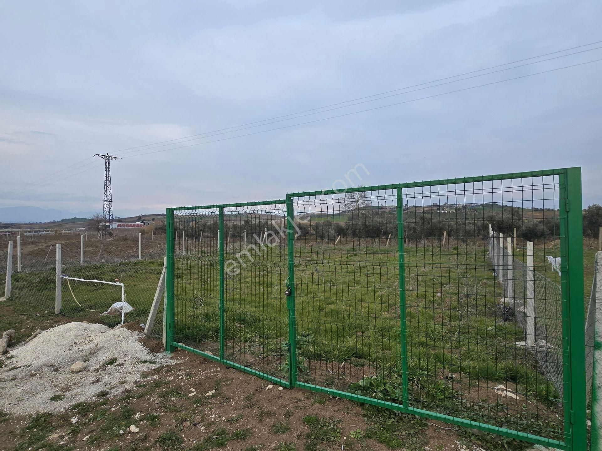 Adana Karaisalı Kuzgun Da Yatırımlık Tapulu Arsa