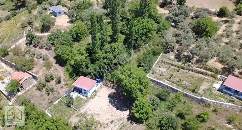 Selçuk-kireççili Köyünde Satılık 197 M2 Bahçe