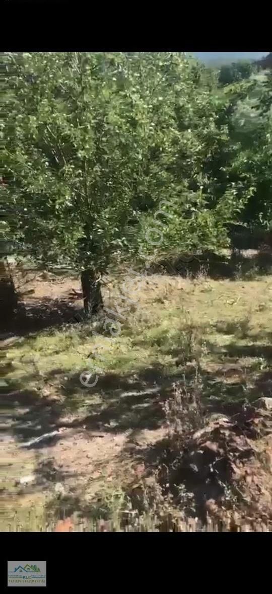 Klc Den Çanakkale Yenice Taban Mahallesinde 1.119 M² Arsa - Görsel 7