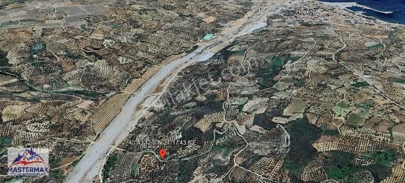 Kadastral Yolu Olan Zeytinlik