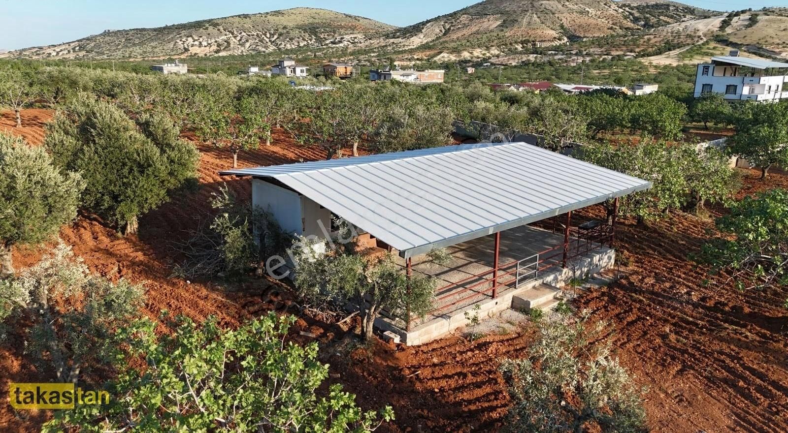 Battal Şehre 20 Dk Tek Tapu Hazır Bağevi Asfalt Yola Yakın Fırsa