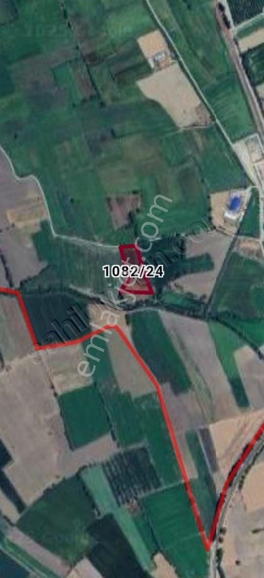 Afyon Dinar Satılık 7.752 M2 Tek Tapu Tarla Açıklamayı Okuyunuz