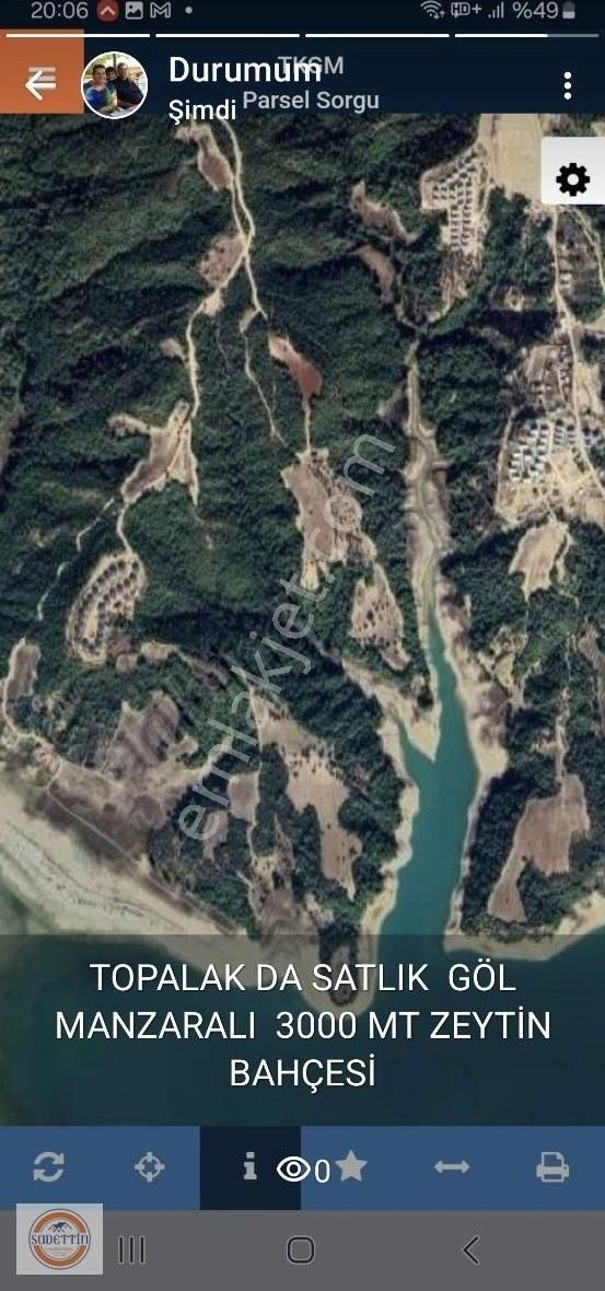 Dörtler Topakda Satlık Zeytin Bahçesi
