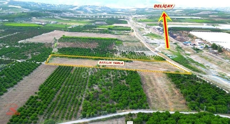 Akdam'da Deliçaya Sıfır, Otobana Yakın 11.065 M2 Müstakil Tarla